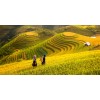 Reseguide Asien